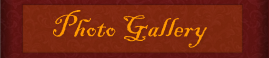 Photo Gallery Photo Gallery